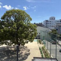 バルコニー眺望　南側は小学校の敷地です